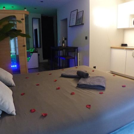 Appartement Balneotherapie Et Sauna Hyper Centre Nantes Zewnętrze zdjęcie